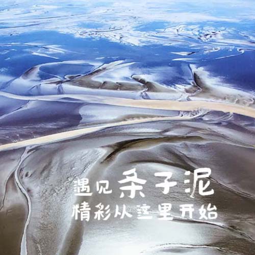 鹽城東臺(tái)條子泥景區(qū)VR全景漫游