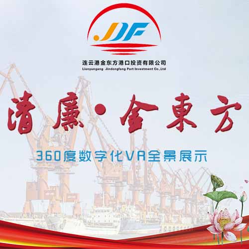 連云港金東方港口投資有限公司黨建成果VR全景展示
